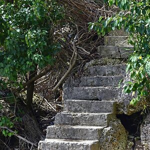 guadeloupe_treppe.jpg