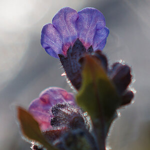 P3175509nikon.jpg