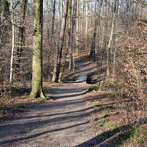 DSC_5473.jpg