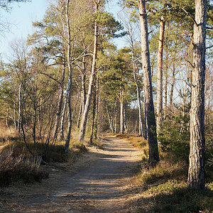 Grundloses Moor.jpg