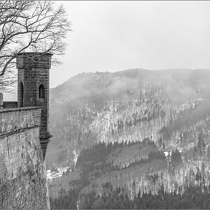 DS2_9457.jpg