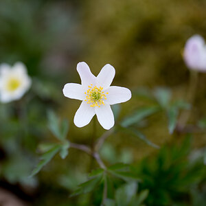 Z62_4048.jpg