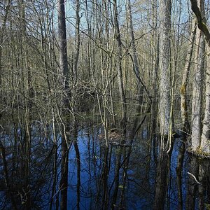 Lüder Moor 2.jpg
