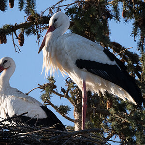DSC_5957.JPG