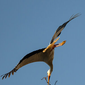 DSC_6035-Verbessert-RR.JPG
