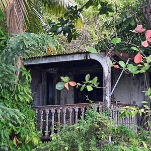 guadeloupe_marode_1.jpg