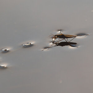 N3242012nikon.jpg