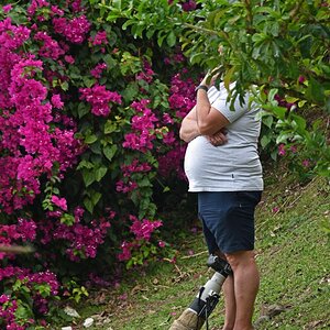 guadeloupe_fotograf.jpg