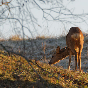 N3282273nikon.jpg