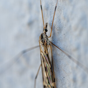 20250327-NZ7_2277.jpg