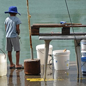 guadeloupe_angler.jpg