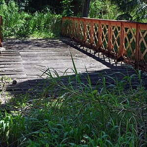guadeloupe_eiffel_bruecke_1.jpg