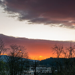 20250401-DSC_8469.jpg