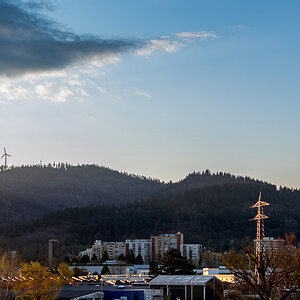20250401-DSC_8471.jpg