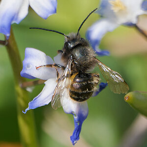 N4032737nikon.jpg