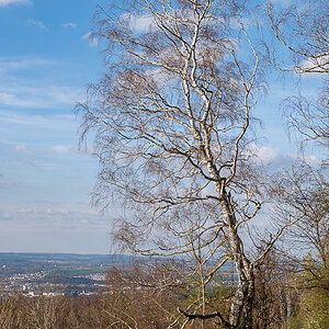 DSC_5763.jpg