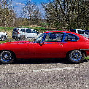 DSC_7225_DxOn.jpg