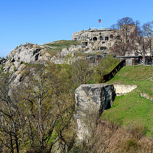 OF2_73591.jpg