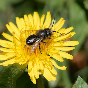 N4062884nikon.jpg