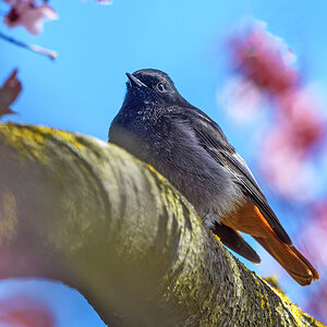 OF5_49023.jpg