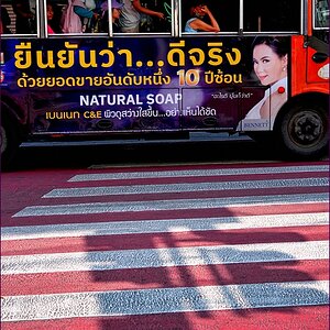 comp_2BUS-lumi.jpg