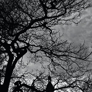 Stille II
