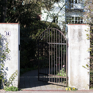 250407-007.jpg