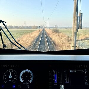 IMG_7337.jpeg