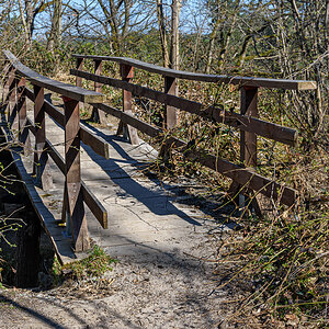 OF2_73570.jpg