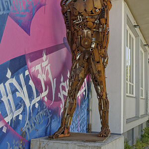 _DSC1343_DxOAxl.jpg