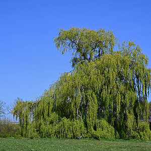 Z8A_0577t0l3s40p1.jpg