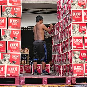 comp_2Leo-Lumi.jpg