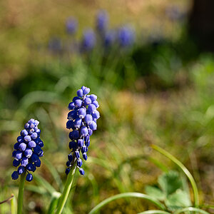 A7R03156-3.jpg