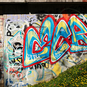 A7R03148.jpg