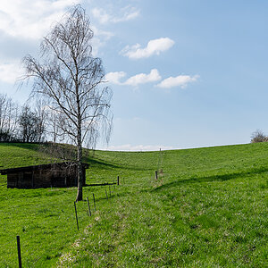 DSC_5695-2.jpg