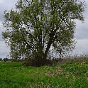 Z8A_0606t5l5s40p1.jpg