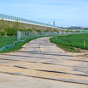 OFZ_00130.jpg