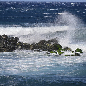 _U012310-1200x800.jpeg