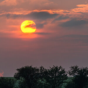 OF5_49132.jpg