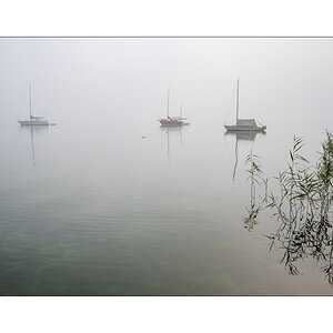 Compressed_0832.jpg