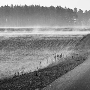 Ackernebel 2 BW.jpg