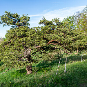 A7R03216-Pano.jpg