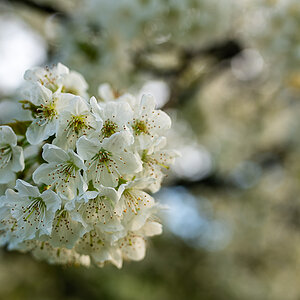 A7R03245.jpg
