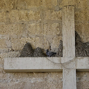_U022491-1200x800.jpeg