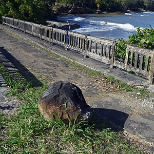 guadeloupe_bruecke_1.jpg