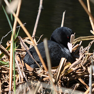 DSC_3305.JPG