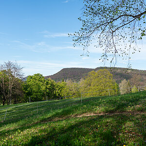 A7R03221.jpg