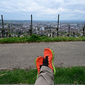 Bank_Wartberg_Aussicht.jpg