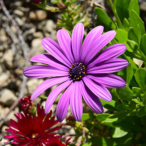 _U023092-1200x800.jpeg