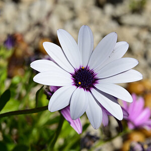_U023097-1200x800.jpeg